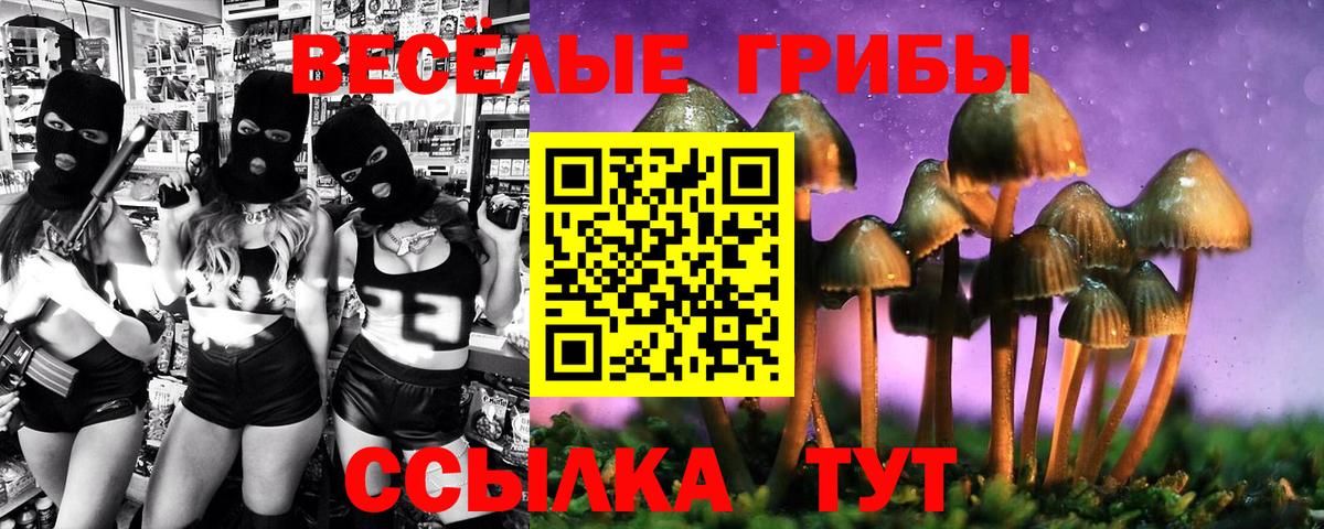 Псилоцибиновые грибы прущие грибы Саянск