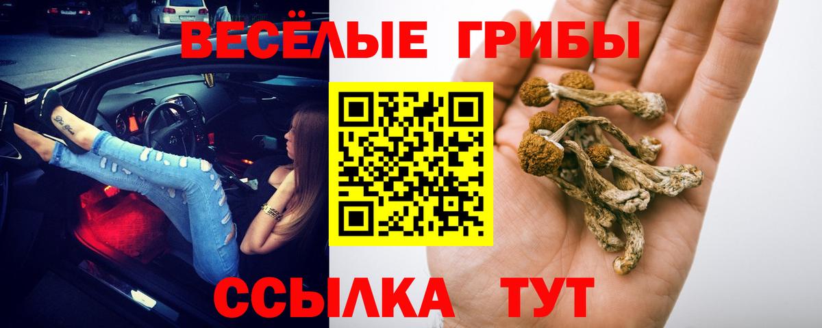 Cocaine  Мефедрон кристаллы  Вход с VPN  Экстази  МДМА  ГАШИШ  Саянск  МАРИХУАНА  Где купить наркотики? 